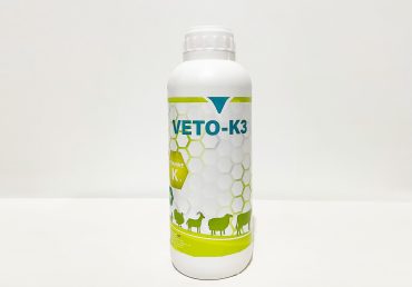 Veto K3