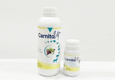 Carnitovet