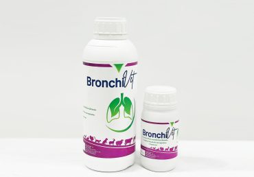 Bronchivet