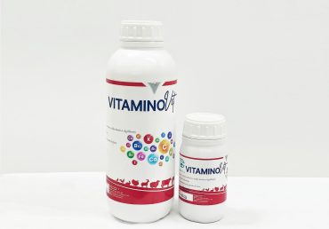 Vitaminovet