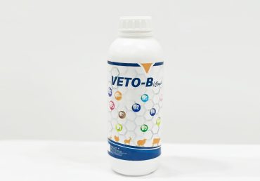 VETO-B /Combi